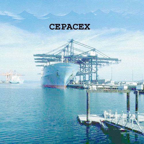 CEPACEX's profile picture. Somos una Organización dedicada al entrenamiento y capacitación en el área de Comercio Exterior