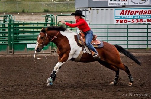 ABBarrelRacer's profile picture. Barrel Racing, Performance Horses, Oilfield & Welding!