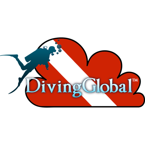 Pioneering cloud services for the dive industry.