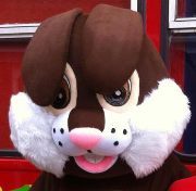 Party Bus where the fun never stops! Children's birthday Parties, Weddings, christenings or even just hire us for fun!
