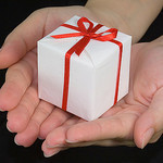 We strive to give you the best holiday gifts and ideas for gift giving from the web! Happy Holidays!