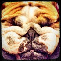 rubricochet (@rubricochet) 's Twitter Profile