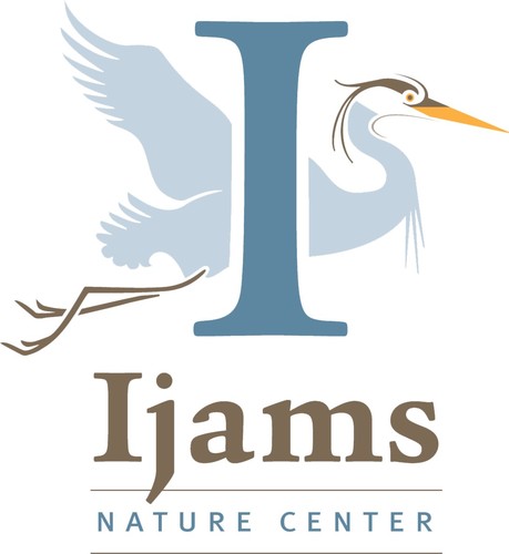 Nonprofit Ijams offers hundreds of educational programs and opportunities to hike, bike, climb, paddle and learn on 315 acres just three miles from downtown.