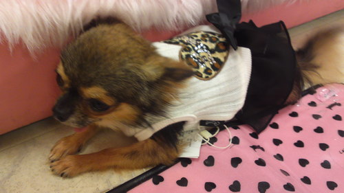 raspberrypink77's profile picture. 