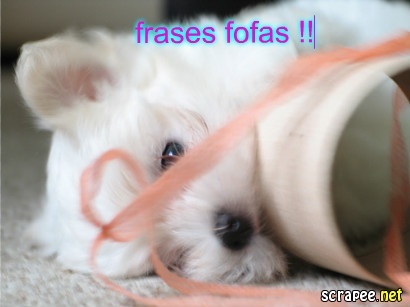 Frases curtas delicadas