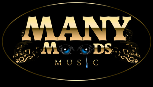 Launched in 2012, Many Moods Music is a promotion and marketing company, helping indie artists and labels to publish and promote and market their products.