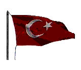 Paylaşımlarım hiç bir kişi yada kuruma hakaret amacı taşımaz.