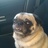 Dani (@dmiller13) Twitter profile photo