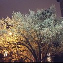 Ruth Fish - @nanofiche - Twitter