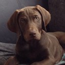 Susan Thackeray  - @peanutgirly6 - Twitter