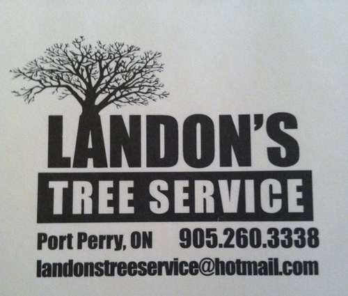 Tree Removal Service