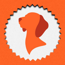 PontaiBrasil Profile Picture