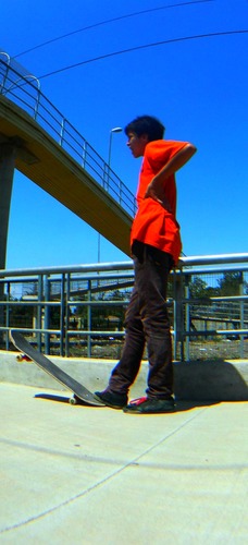 Profesional skateboard