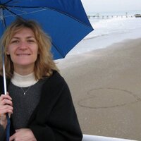Svetlana Sicular (@sve_sic) 's Twitter Profile Photo Svetlana Sicular (@sve_sic) 's Twitter Profile Photo