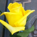 Norma Guajardo - @GuajardoNorma - Twitter