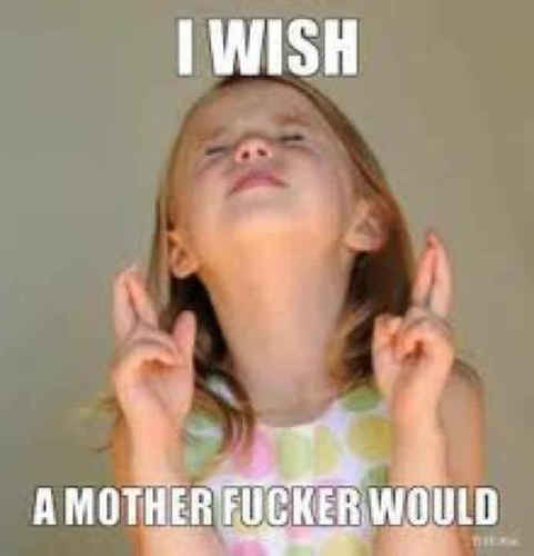 notyourroommate's profile picture. i do what i want.