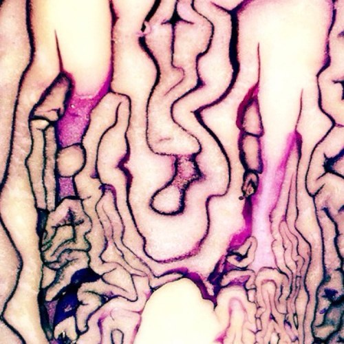 NathanLatton's profile picture. Existentialism explored through haiku