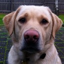 Dave Hackett - @hackdaveman - Twitter