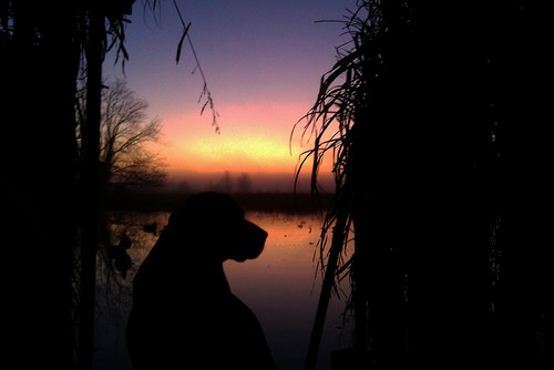 Jmakamson's profile picture. Hi, I'm from the government and we're here to help you.