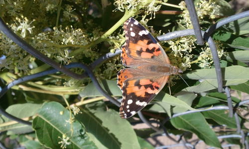 nidaeah's profile picture. The only difference is, the woods are the only place I can see a clear path. What's your business here?