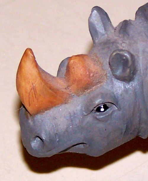 rhinosd's profile picture. Helping people achieve a better quality of life through nutrition and fat loss.