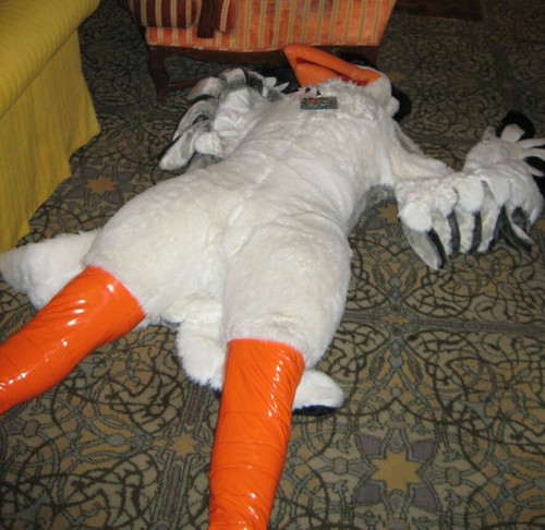 SluttyTern's profile picture. Bird in the tweets | Lizard in the sheets | Murrsuiter | Lewd, sometimes crude, a little creepy, but can take a hint | AD of @orzel | 40+