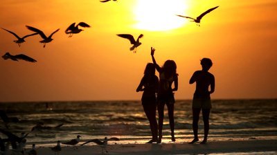 Summer__Bitch's profile picture. “Summer is kind of like the ultimate one-night stand: hot as hell, totally thrilling, and gone before you know it.”