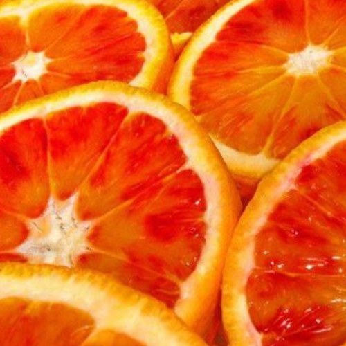 pazzopertutto's profile picture. 