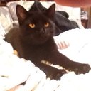 Marla McCall - @OliviaSamm - Twitter