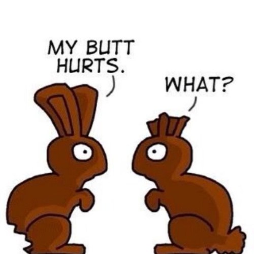 ljstellabotte's profile picture. 