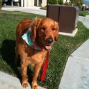 Sandy Vasquez - @sandyvsq - Twitter