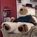 Andrew Yost - @Nedzulla - Twitter