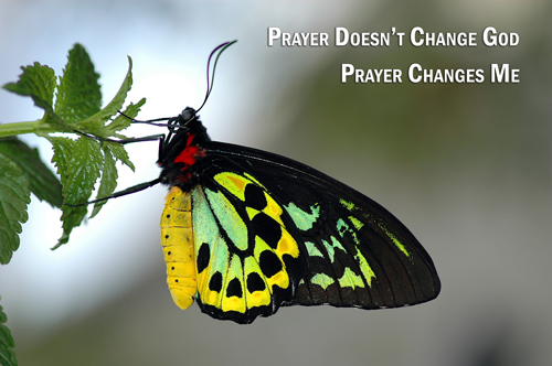 I'M CHANGED #TEAMJESUS