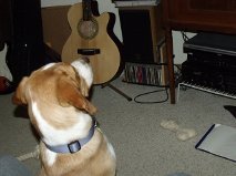 Tangier2009's profile picture. I'm a huge sports fan who loves the Brewers,Packers,Longhorns,Bucks and Badgers.