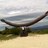 Julianmulcahy's profile image