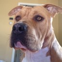 Arika Brown - @brown_arika - Twitter