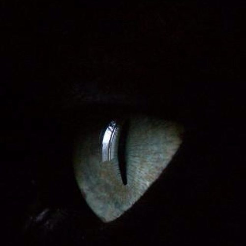 herodes_80's profile picture. 