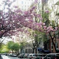 Dominique Bertrand (@dfbert) 's Twitter Profile Photo