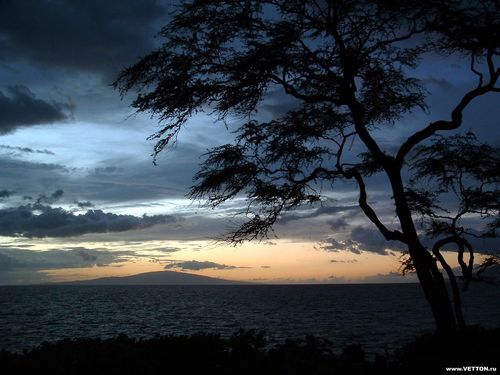 tttyzzz's profile picture. 