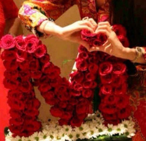 mishi3333's profile picture. مدرسة الحياة تعلم الأنسان القرآءة مابين السطور