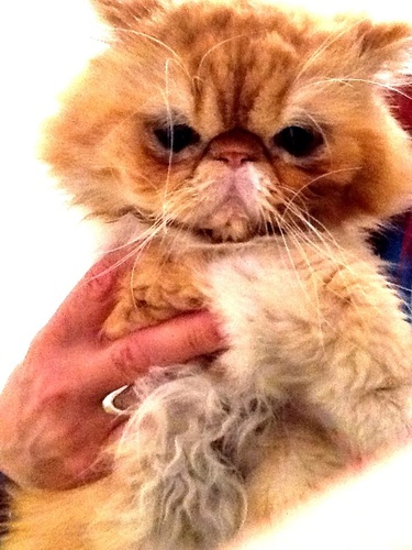 ALEFAN002's profile picture. 