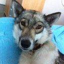 Jack Dekker - @SesiAmarok - Twitter