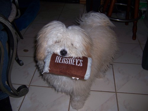 MyDeathBySnuSnu's profile picture. 