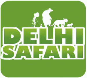 DelhiSafari's profile picture. Studio: Krayon Pictures
Directed by: Nikhil Advani
Produced by: Krayon Pictures