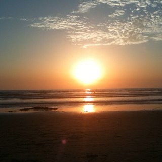 dianedsk's profile picture. 