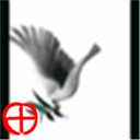 lgsmada's profile picture. 들숨 날숨의 시간 안에서...