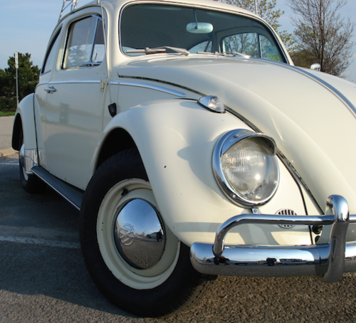 pearlvwbeetle's profile picture. Pearl is a 1964 VW Deluxe Beetle. She has a lifetime of stories to tell and I'm going to document them all.
