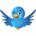 Naina (@naina_ws) Twitter profile photo Naina (@naina_ws) Twitter profile photo