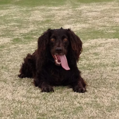 JayDavisJr's profile picture. 