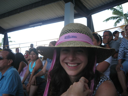 MforMurder's profile picture. Artist & Animal Activist